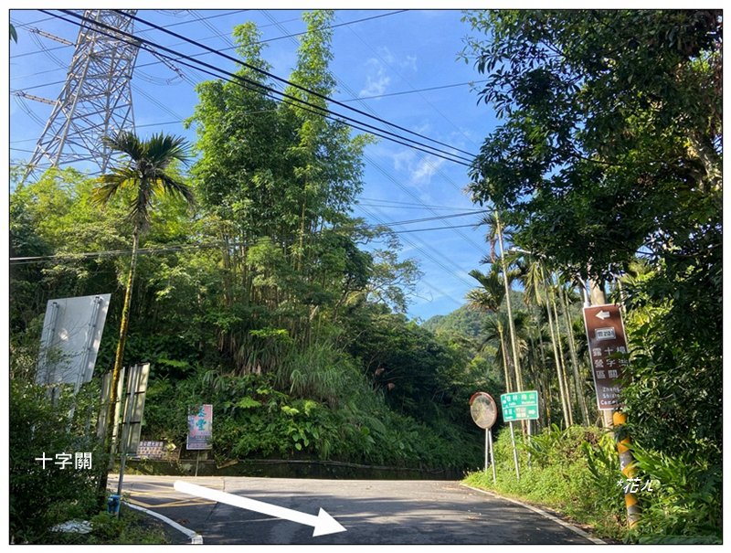 樟湖山 右上左下 (雲林、古坑)_2846297