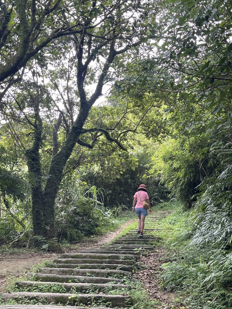 大武崙+紅淡+姜子寮 小百岳半日行_2239164