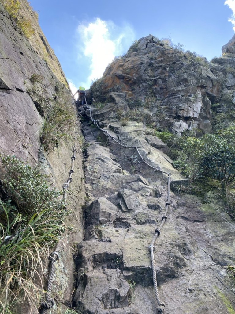 2023/11/23 茶壺山 半平山 燦光寮山 O繞_2389159