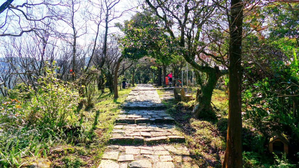 水返之城_2982937