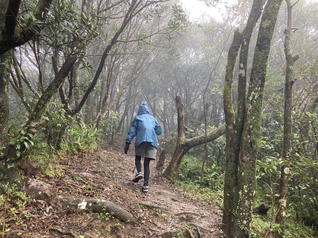 獅仔頭山登山步道_2437080