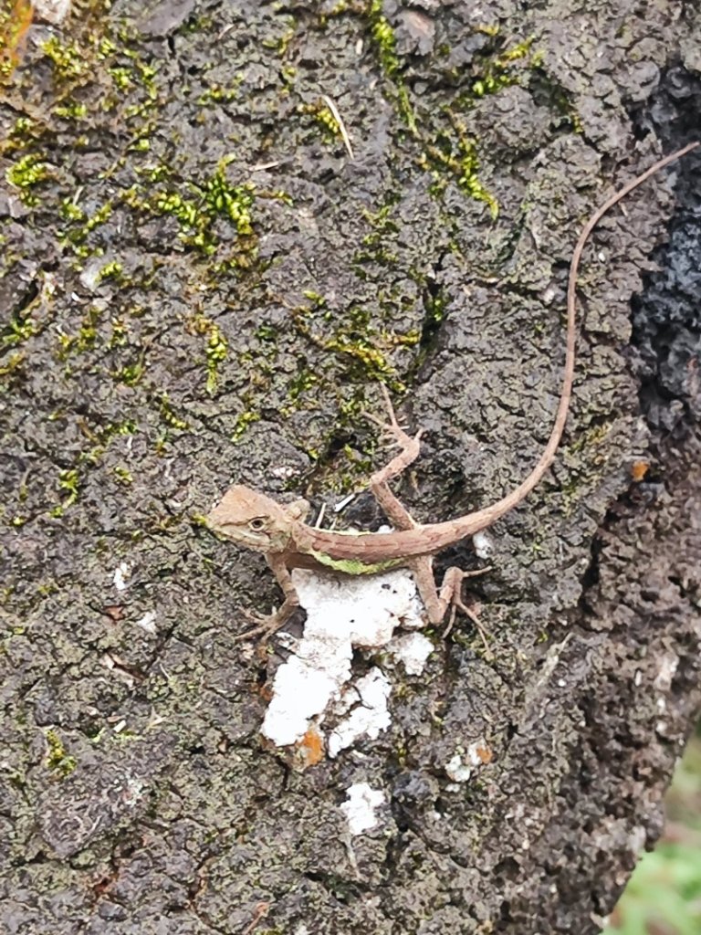 始終如一的愛心縱走_2993455