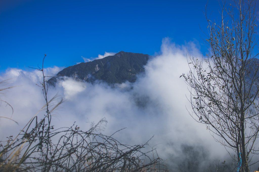 20240216~17-屏風山_2534652