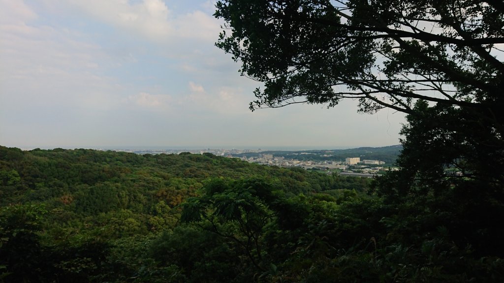 桃園蘆竹-五酒桶山步道封面圖