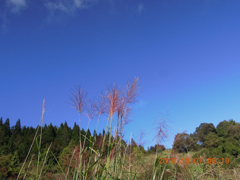20181007_立鷹山三角峰龍奧山_852054
