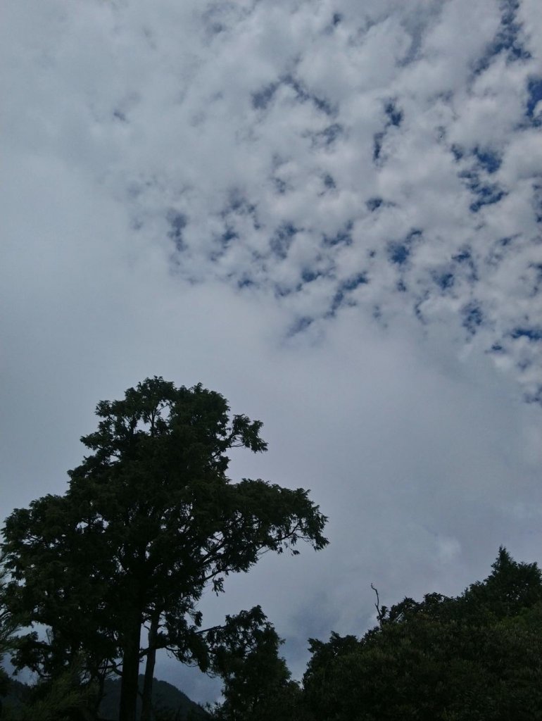 觀霧（榛山，檜山，野馬瞰山，觀霧瀑布）_636063