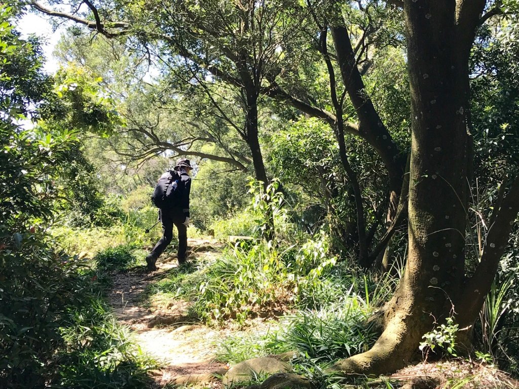 三員縱走下銅鑼_633487