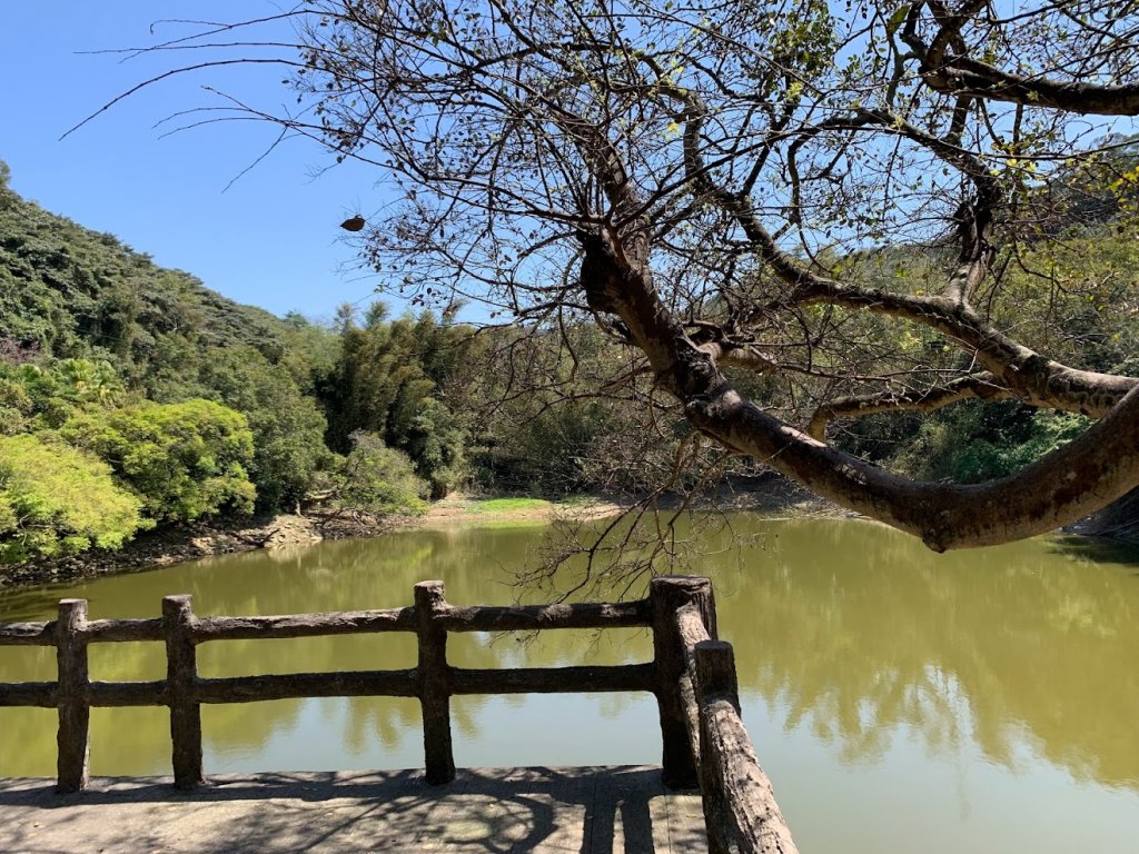 蓮華山古道群_飛龍登山步道、戴熙古道、採茶古道、進香古道、迴龍古道封面圖