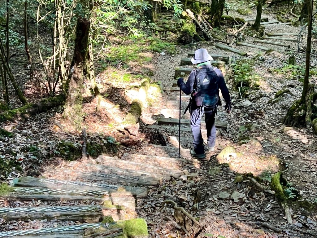 船型山環走大雪山210林道_2978036