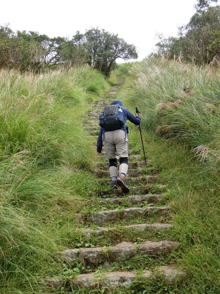 大屯坪．大屯山主峰_94895