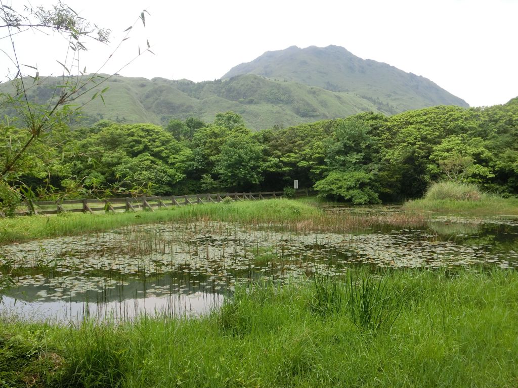冷擎步道．擎天崗封面圖