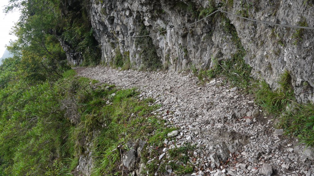 錐麓古道登山健行趣(古道)_1741968