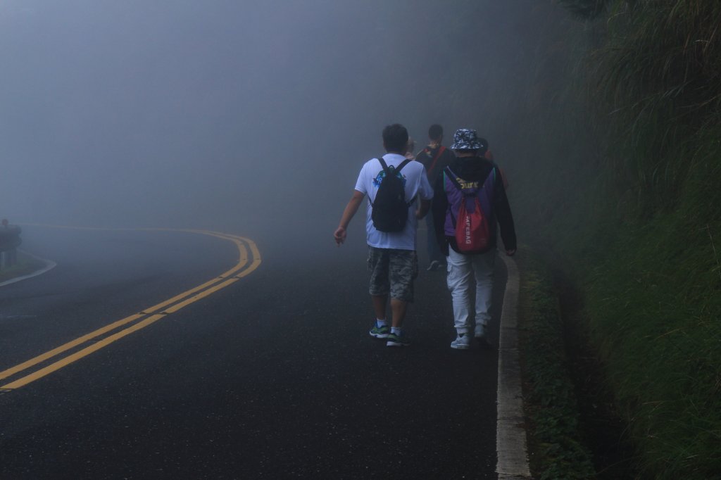 太平山見晴古道霧景濛濛 20181117_469429