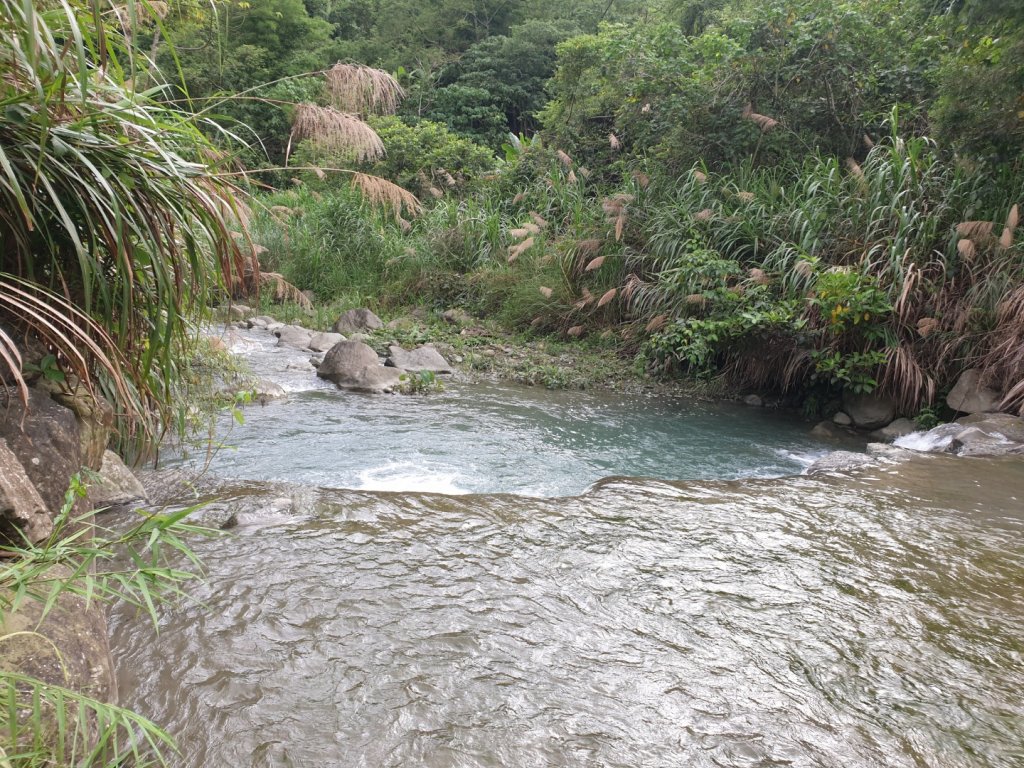 塘湖古道－金獅山－出水坑－交力坪山_1732602