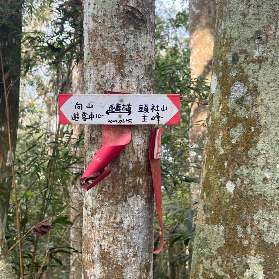 日月潭後尖山頭社山蹤走_2748964