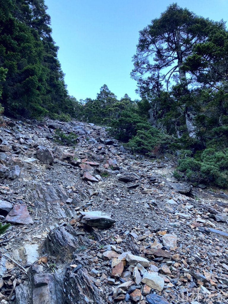 2023-11-27 玉山主峰_2365011