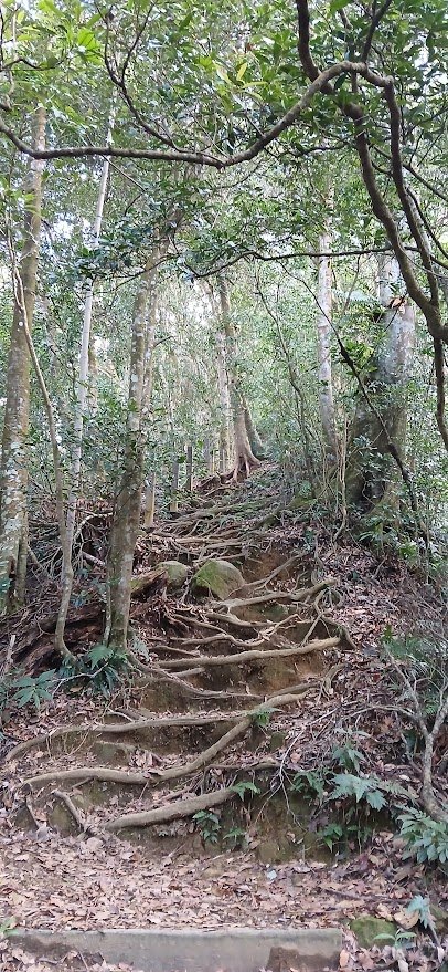 2025 1/27 石壁山_2700011