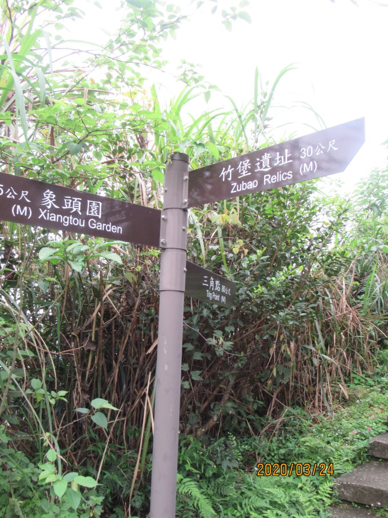 紅淡山步道_907497