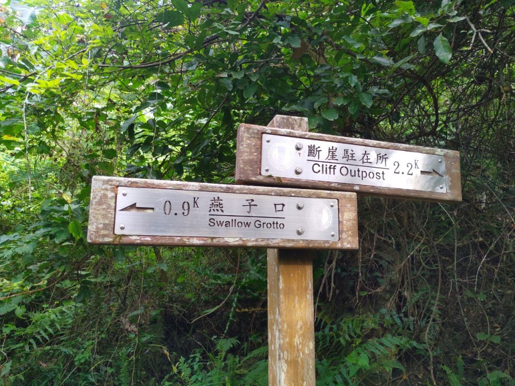 錐麓古道 20220625_1744750