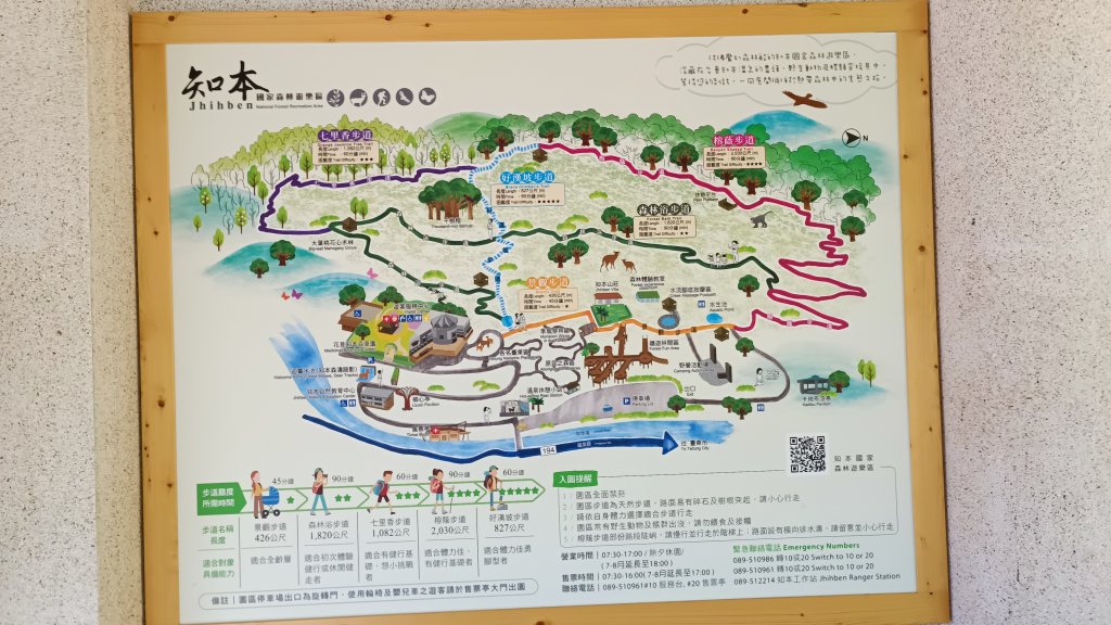 知本國家森林遊樂區步道封面圖