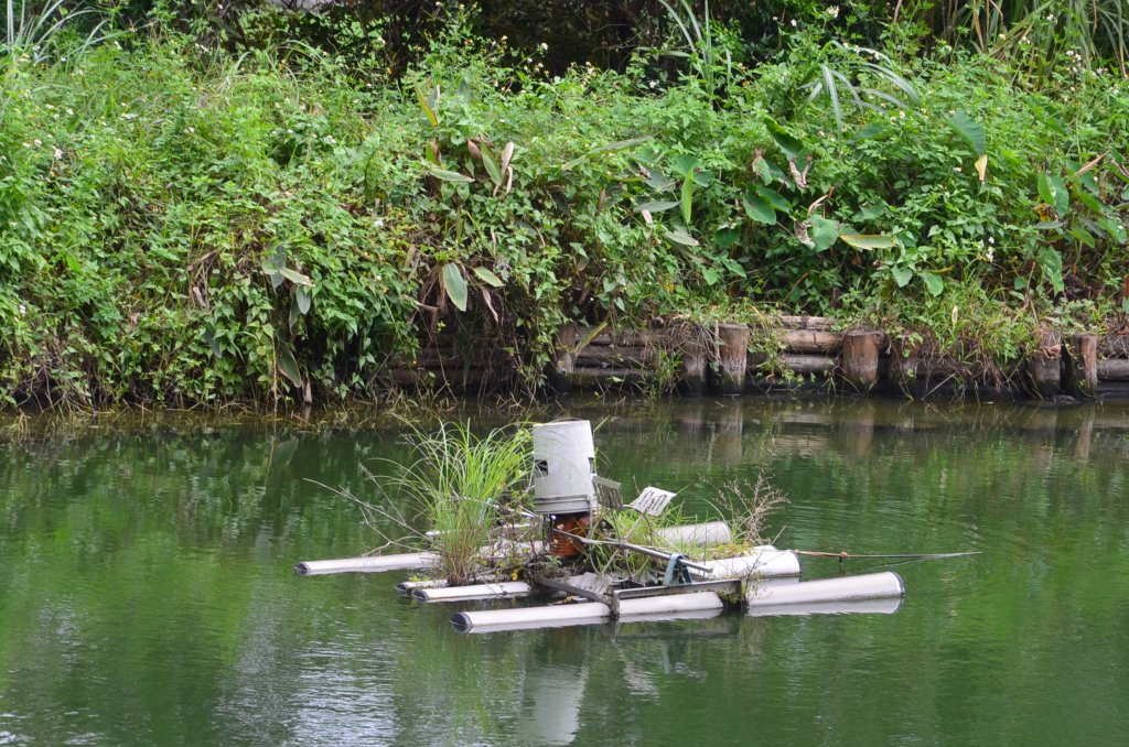 赤柯山 & 東獅頭山_1141099