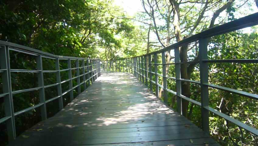 觀音山尋寶硬漢嶺/林梢步道/牛港稜山_1030587