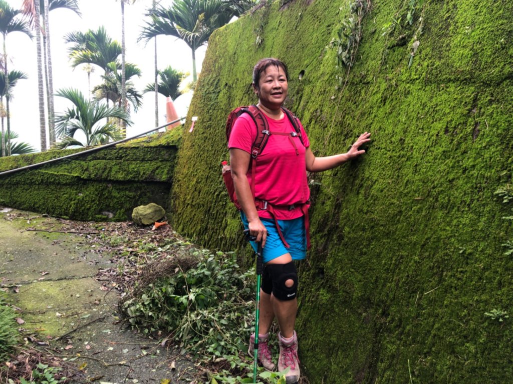 後棟山經挑筍古道上大尖山再走樟湖山_1100372