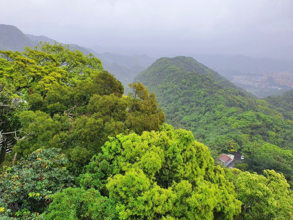 劍潭山，文間山，忠勇山，北投龍鳳谷步道，菜公坑瀑布，水車寮步道，頂湖山，青楓步道，海芋環狀步道_1660780