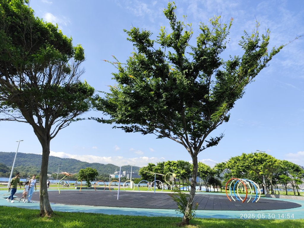 大佳、迎風、觀山河濱公園 (基隆河右岸、左岸)_2800088
