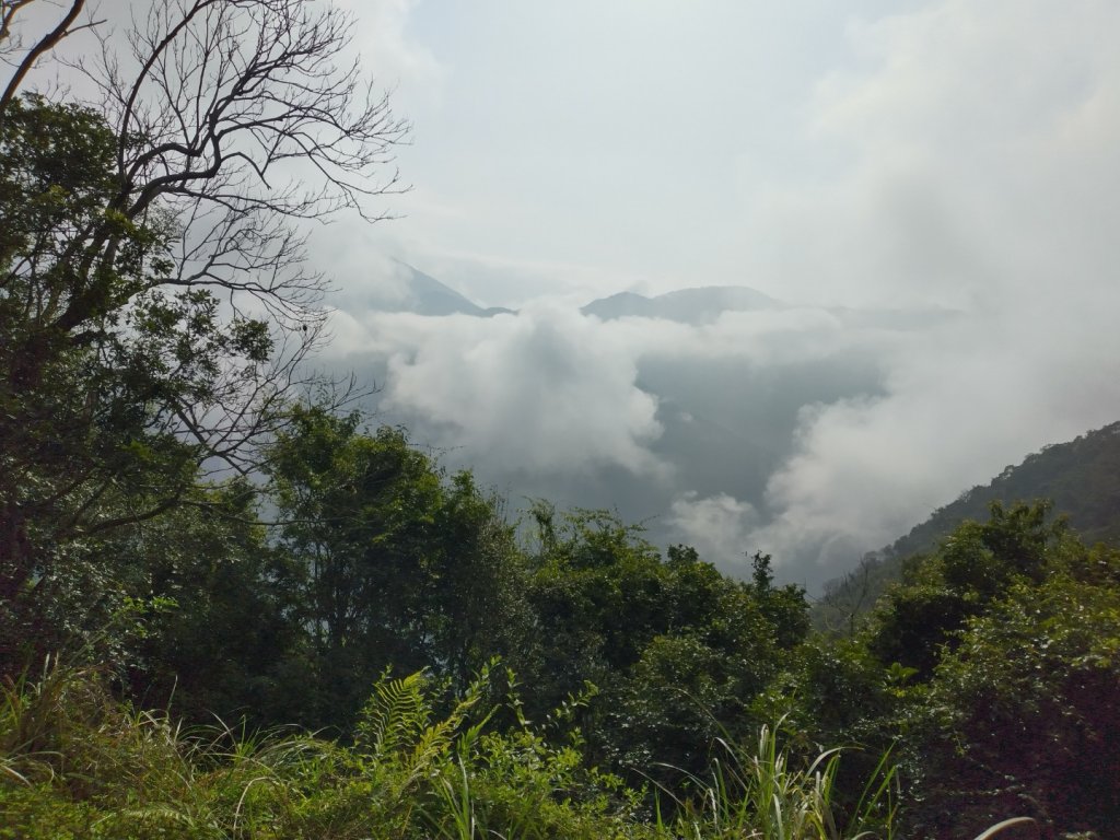 小關山林道 20240210封面圖