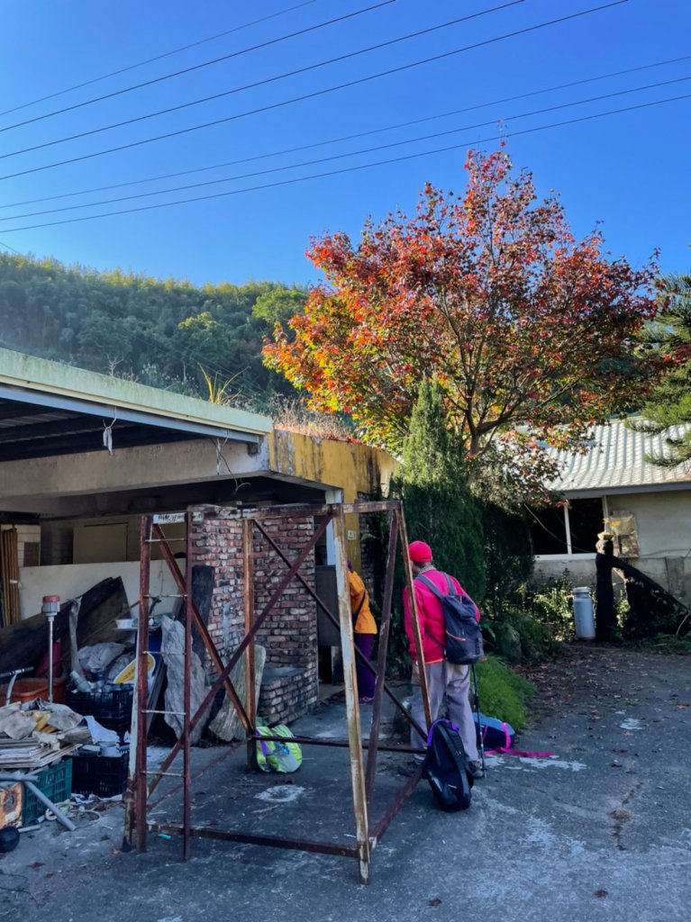 馬那邦山賞楓趣_1549537