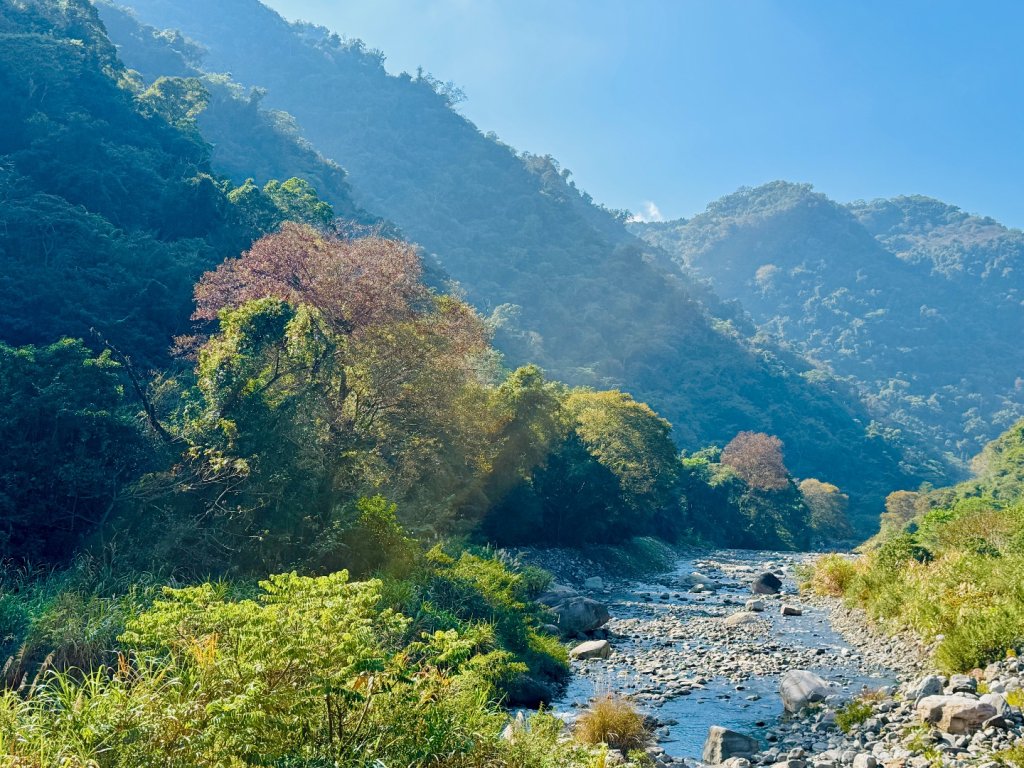 雪山坑登山步道尋巨人_2978269