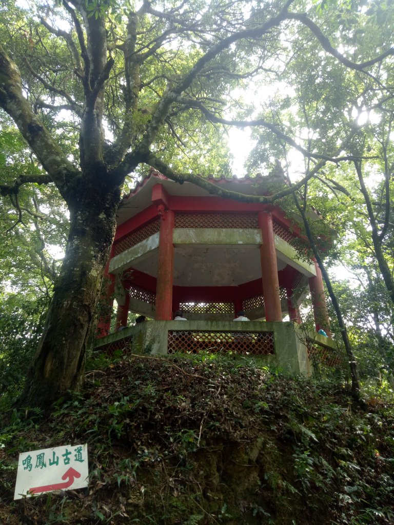 鳴鳳古道+南隘勇古道+綠色古道+延平古道O型(獅潭義民廟起登)封面圖