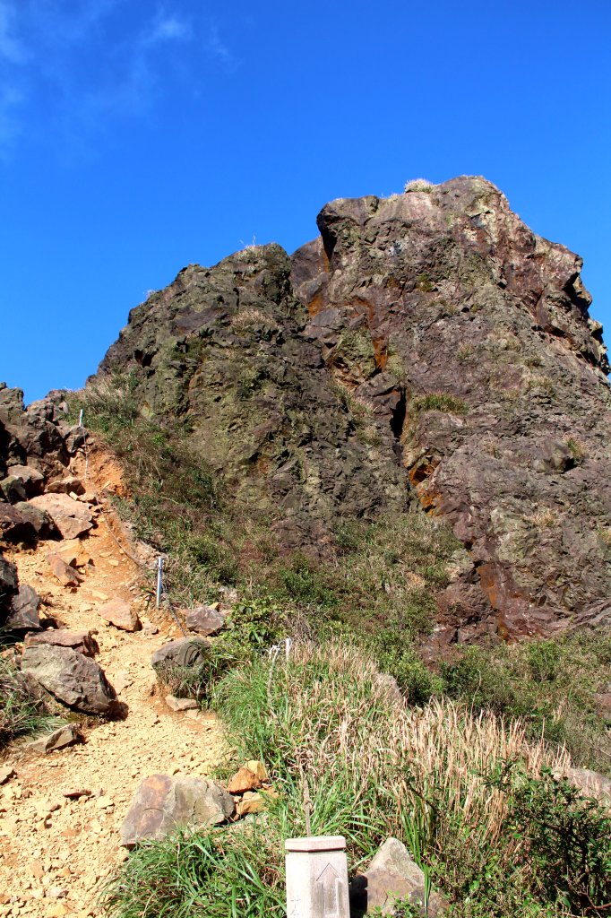【金瓜石】漫山芒花怒放浪漫，礦山藍海奇景夢幻！_2964156
