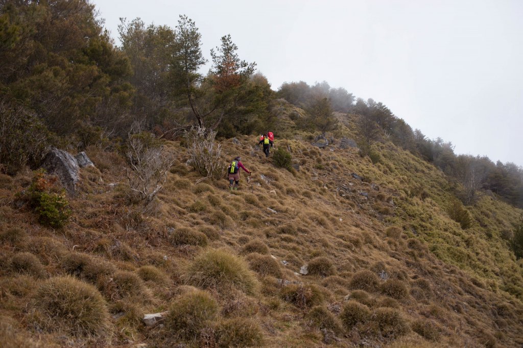 【高雄】多尾蘭山+玉穗山_870597