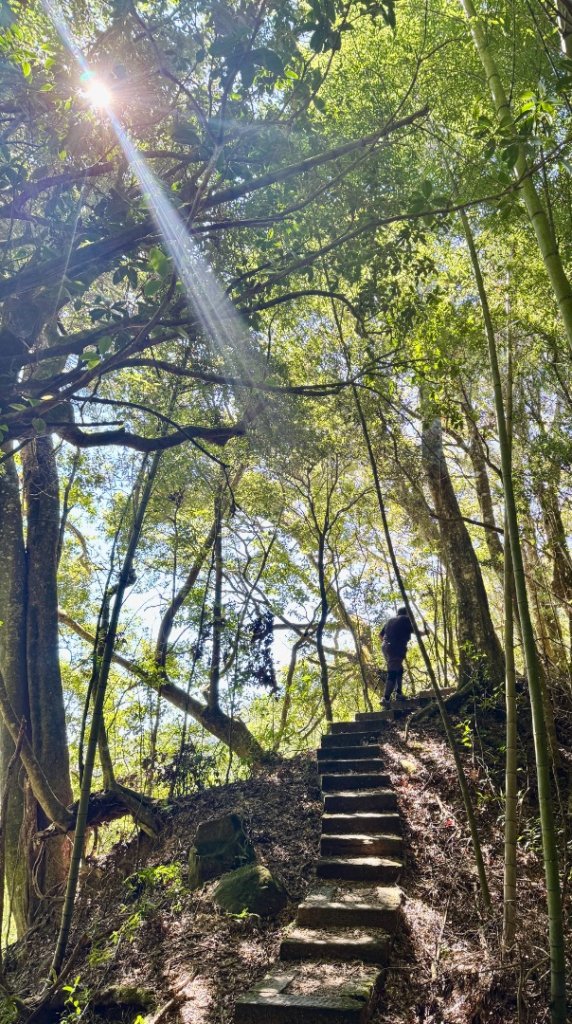 九穹神木 左訪嘉南雲峰 右到好望角看風景上石壁山(小百岳#55)_2944849