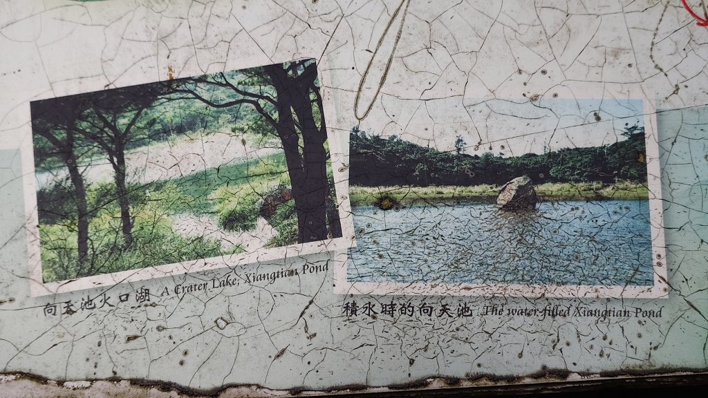 20260125 陽明山前後山健行(無極天元宮~山仔頂步道.向天池.向天山.面天山.二子坪)_2997999