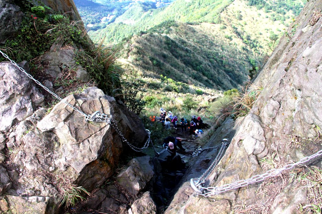 【金瓜石】漫山芒花怒放浪漫，礦山藍海奇景夢幻！_2964121