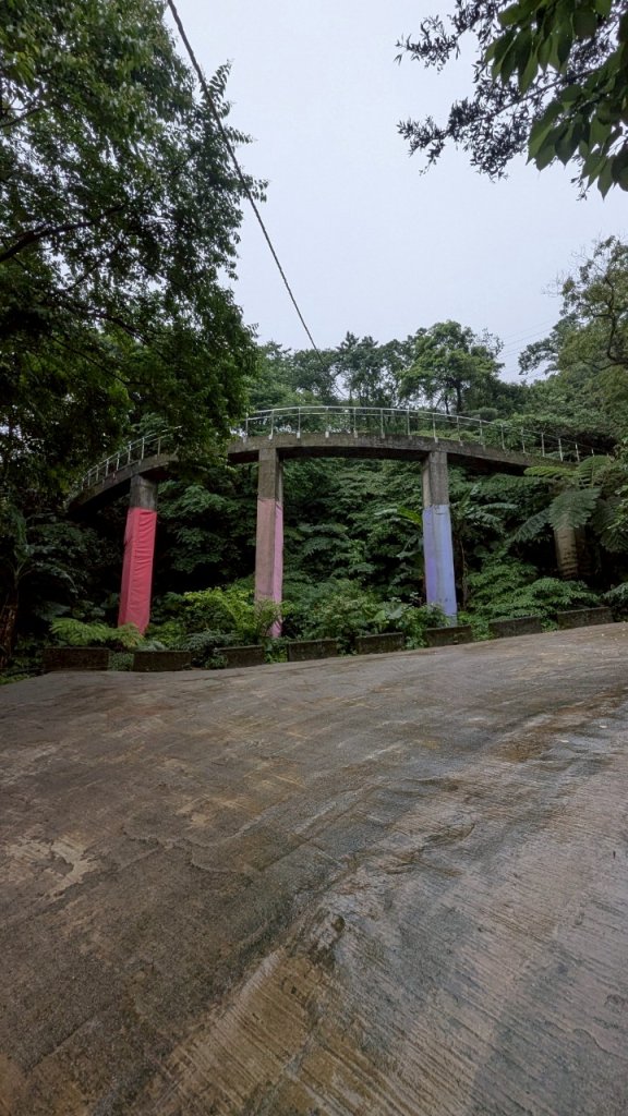 114.05.04三芝桐花步道-百年田梯步道-大鵬足湯公園_2779922