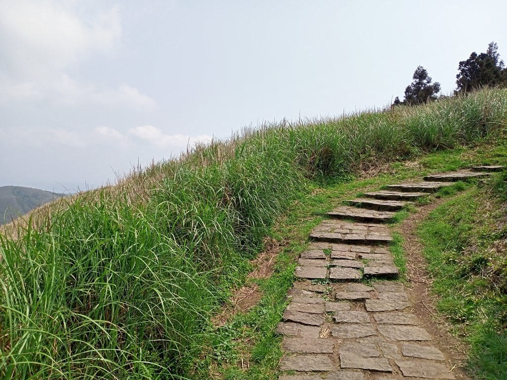 夢幻湖步道【走遍陽明山】_2107468