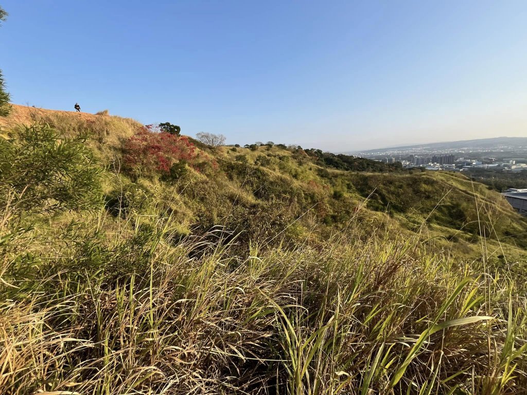 知高圳步道_2711615
