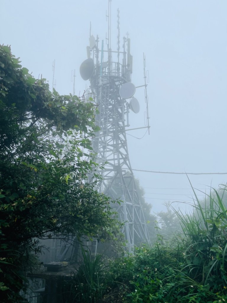 1130928。1010五指山｜拇指峰-食指峰-中指峰-無名指峰-小指峰_2612416