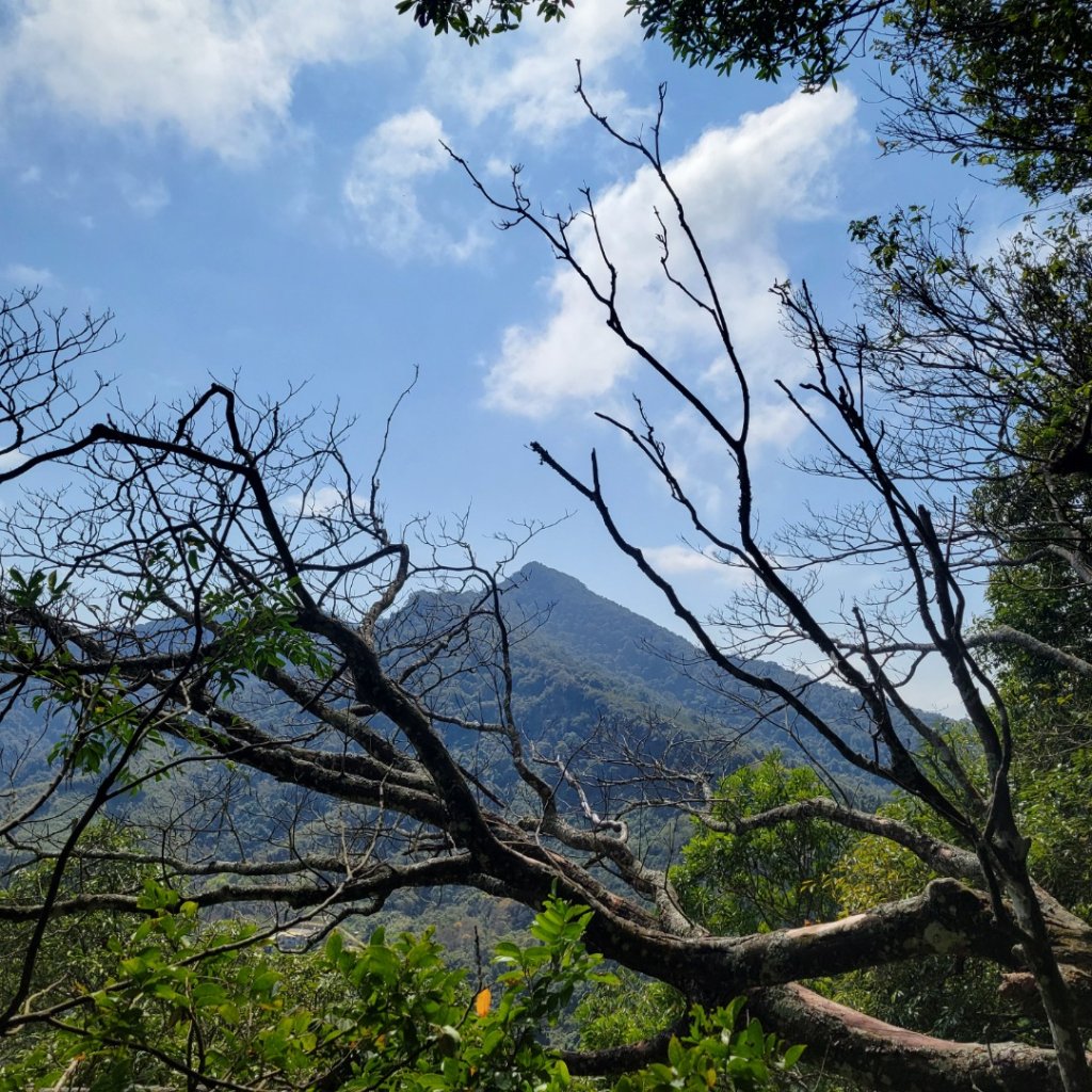 馬那邦山、細道邦山（小百岳）_2435593