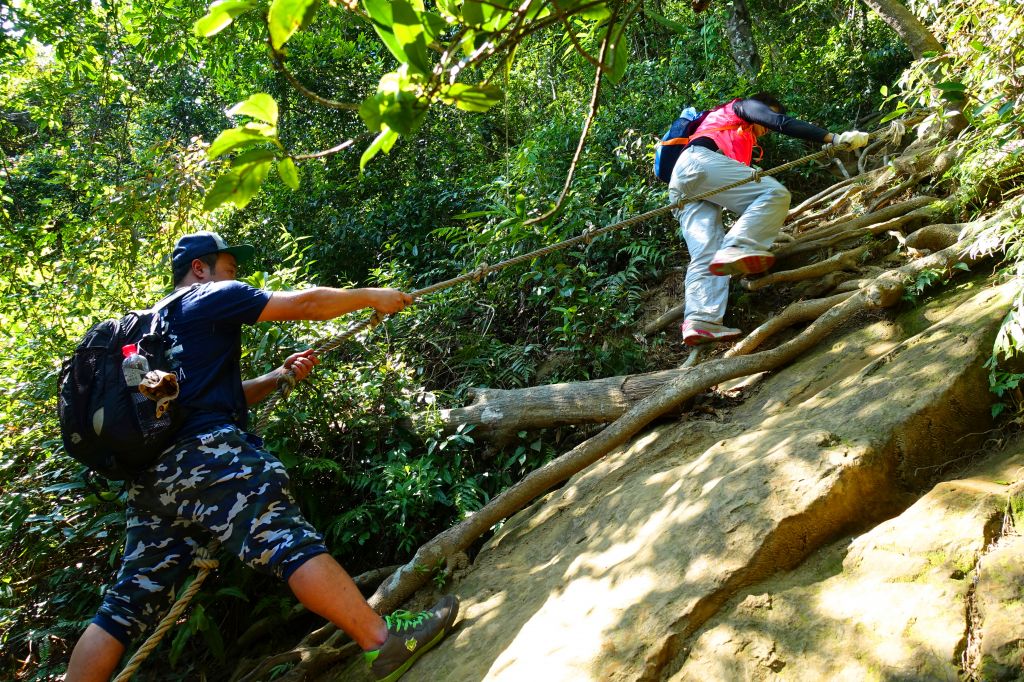 五寮尖 O型 2018.02.18_294564