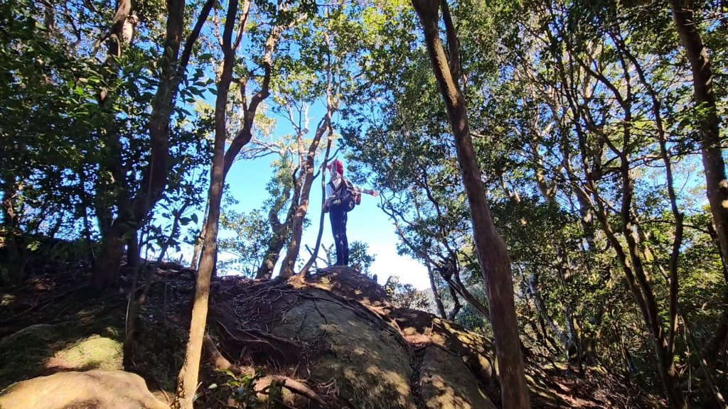 新竹尖石蓮包山+鴛鴦谷鰻潭瀑布O型走_2379179