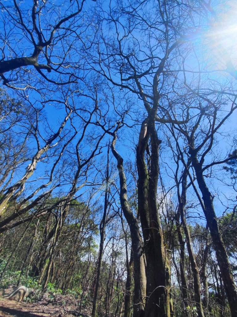 三員縱走封面圖