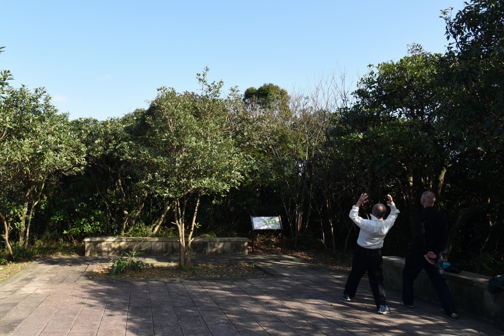 大武崙山／小百岳03_1275334