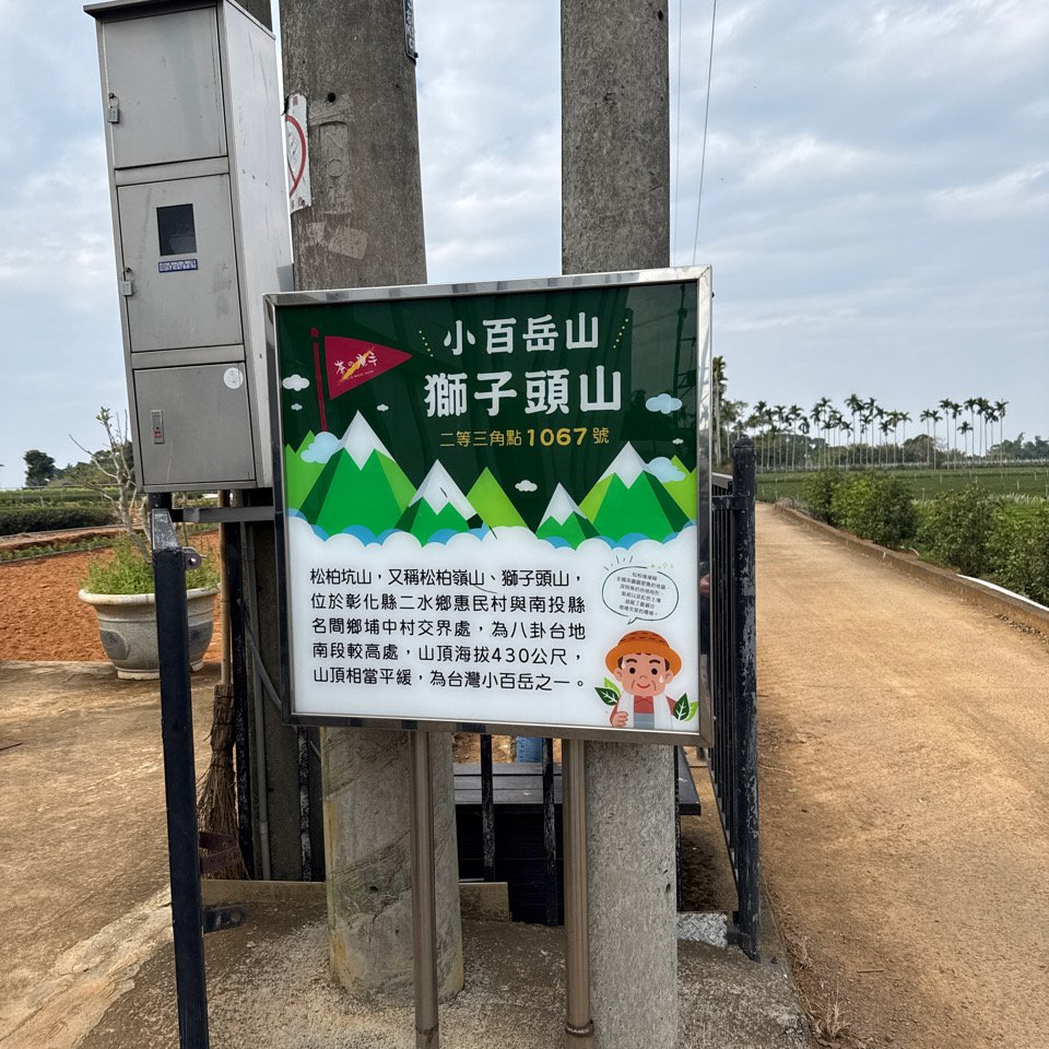 20260118 松柏坑山、田園茶香賞茶步道(小百岳-松柏坑山)_2992834