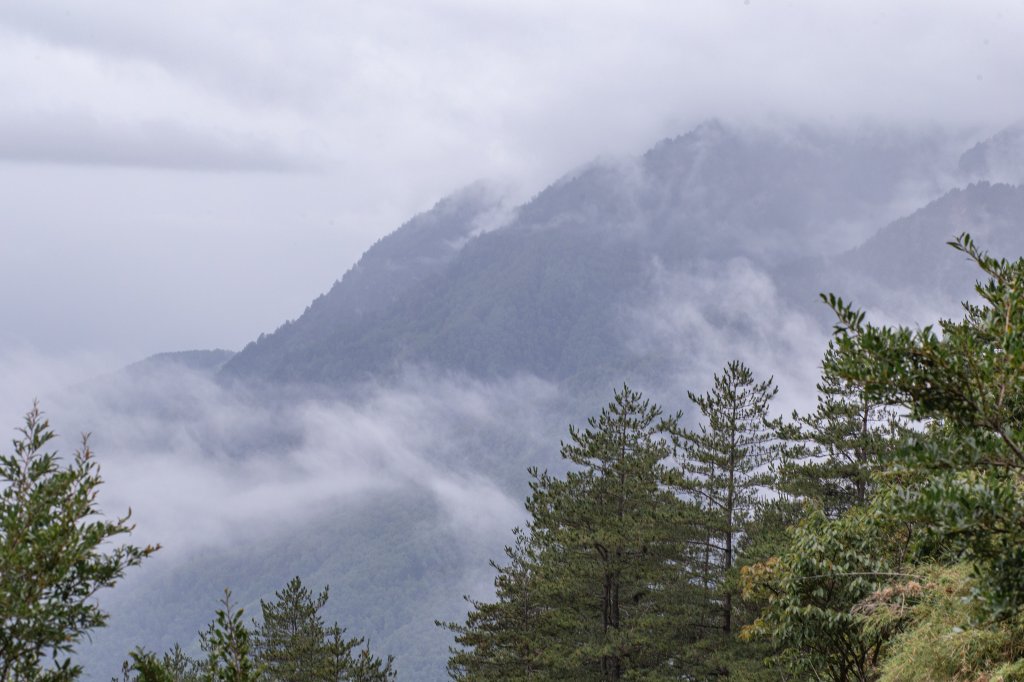 玉山前峰-翻越石瀑的第五座百岳之旅。_2254860
