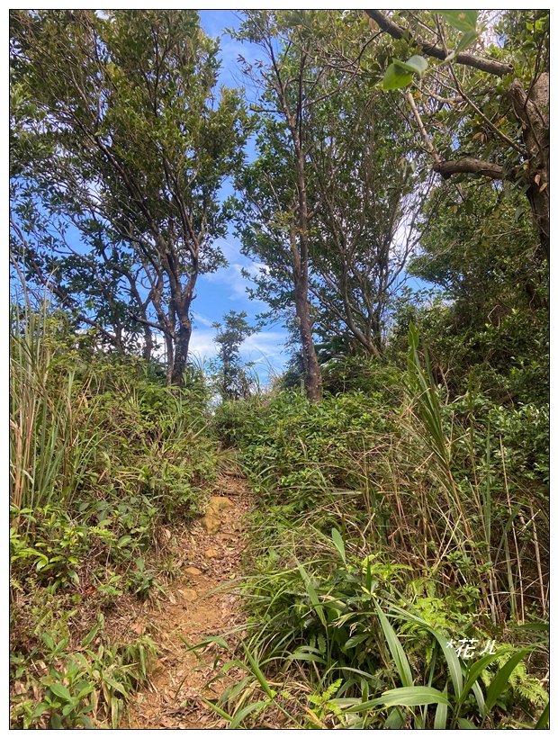 瑞芳四秀 連走一圈_2616360